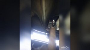 замена трёх подушек двигателя Шкода