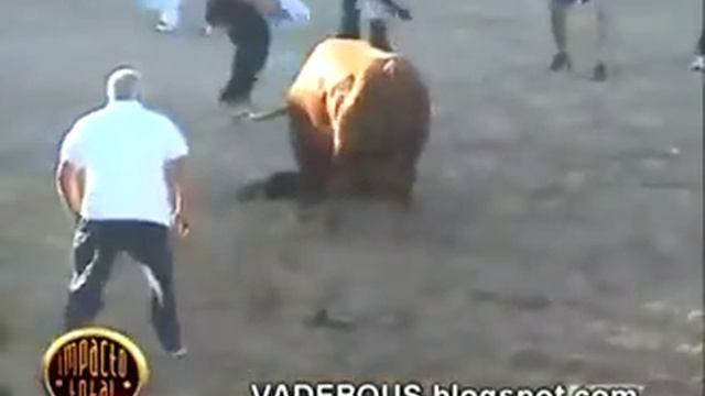 А он умный бык смотреть онлайн