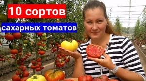 ТРИ САМЫХ САХАРНЫХ СОРТА ТОМАТОВ. ТАКИХ СЛАДКИХ ПОМИДОРОВ ВЫ НЕ КУПИТЕ НИ НА ОДНОМ РЫНКЕ, СЕЙТЕ САМИ