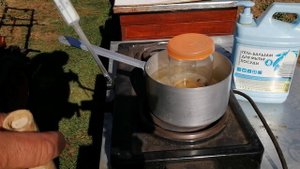 Смыв клещя у пчёл после обработок.