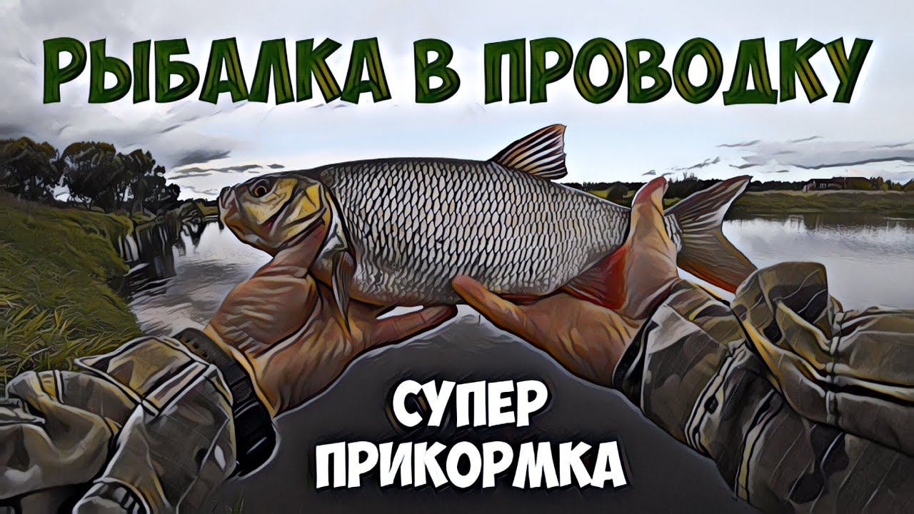 Рыбалка в проводку на супер прикормку.