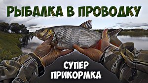 Рыбалка в проводку на супер прикормку.