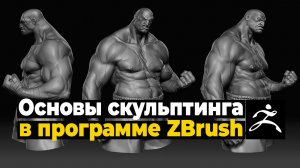 Основы скульптинга в программе ZBrush