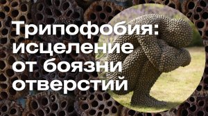 Избавление от фобии методом психокатализа