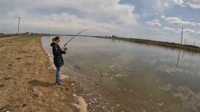 Элитная вобла на Кигаче! Пошла ходовая крупная вобла Астрахань 2022.