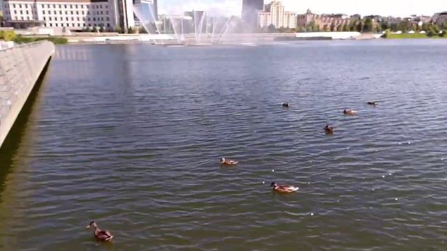 Озеро Кабан в Казани смотреть онлайн