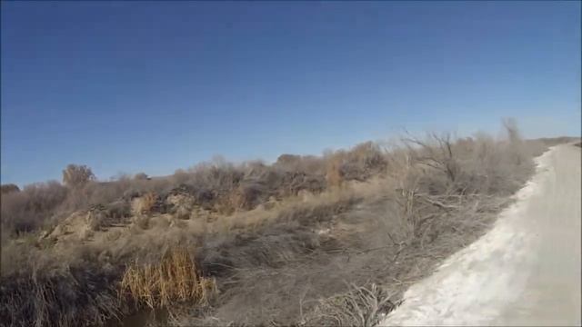 Arizona duck hunting Jumping gadwall with Vick смотреть онлайн