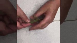 Кактус вязаный крючком