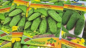 Журнал «Телесемь» поможет дачникам выбрать семена