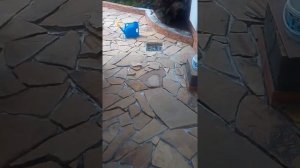 Укладка дикого камня