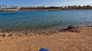Египет 🇪🇬Чем кормят туристов ?🍔Отель Mirage Bay Resort