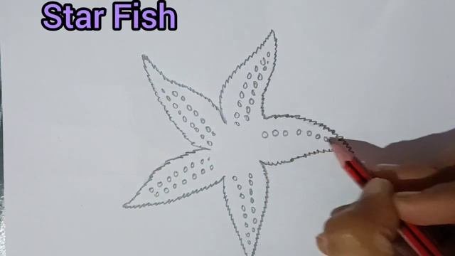 How To Draw Star Fish || तारामीन || Starfish Diagram Step By Step|| Biology Diagram || #starfish