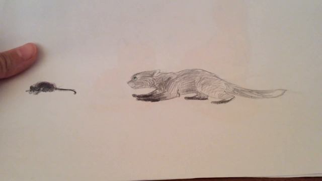 Рисунки коты-воители (2 часть) (Ч.О.) смотреть онлайн