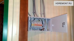 Мыши грызут электропроводку. Как избавиться от мышей?