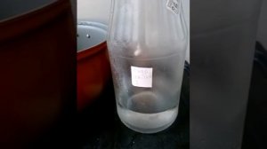 Гидролат из иван чая. Отличный антиперспирант