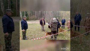 Состязания норных собак 2021. Выводка охотничьих собак 2021. Burrowing dog competition 2021.