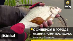 С фидером В ГОРОДЕ. Осенняя ЛОВЛЯ ПОДЛЕЩИКА. Александр Евмененко. Anglers Practical