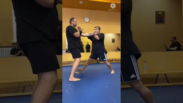 Работа с "мостами" в Wing Chun Kuen.