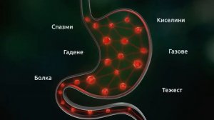 Иберогаст решението за 6 храносмилателни проблема