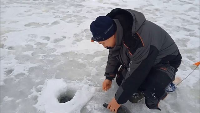 Поимки форели смотреть онлайн