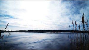 О Мандельштам  И Шуберт на воде, и Моцарт в птичьем гаме  #философскаялирика #поэтыCеребряноговека