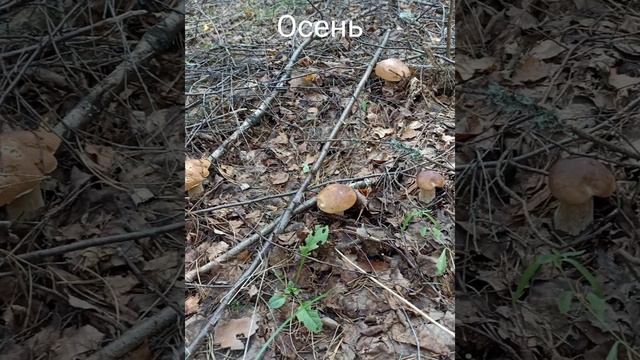 21 января 2022 г. смотреть онлайн