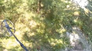 АКА Сигнум с катушкой 9х12" 20кГц или XP Deus с катушкой 9" - тест в земле на чешую / Сигнум vs Deu