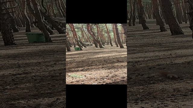 VID_20230327_125941.mp4 смотреть онлайн