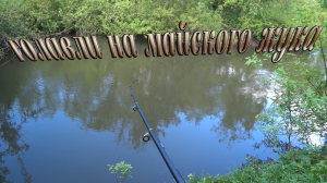 Голавли и ЩУКА на майского жука, в начале мая! Рыбалка на реке Сосна, 2024!