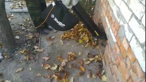 Пылесос-воздуходувка