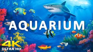 The Best 4K Aquarium for Relaxation Relaxing Oceanscapes - Sleep Meditation 4K UHD Screensaver