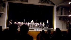 концерт Дмитрий РИБЕРО - ФЕРРЕЙРА поразил голосом и обаянием