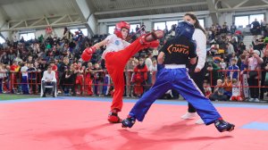 20-й Кубок Ермака по кикбоксингу