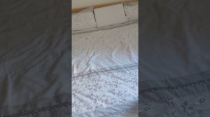 Постельный клещ или аллергия? Моё решение...