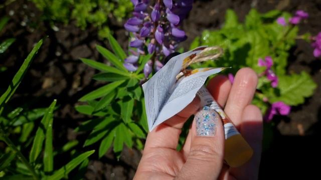 Масляные ДУХИ Дамасская роза и Тепло корицы SIBERINA. смотреть онлайн