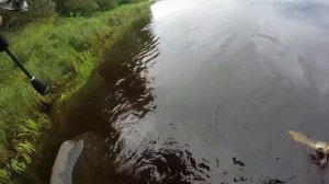 ловля щуки на спиннинг. Витебск