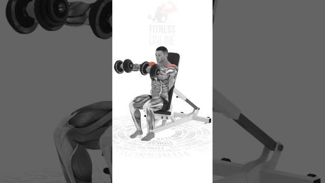 Подъём рук с гантелями с супинацией/Supination Dumbbell Raise смотреть онлайн