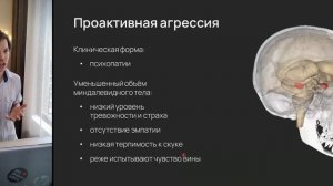 Нейробиология поведения. Лекция 6. Нейробиология агрессии