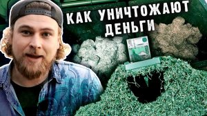 Деньги убивают природу. Как утилизируют ветхие купюры // Сортировочная