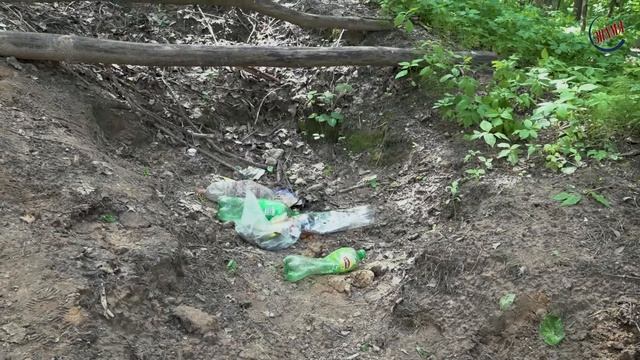 В Комсомольской роще Калуги растут не только грибы смотреть онлайн