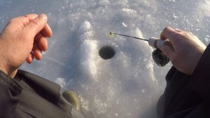 Ловля окуня на балансир Rapala