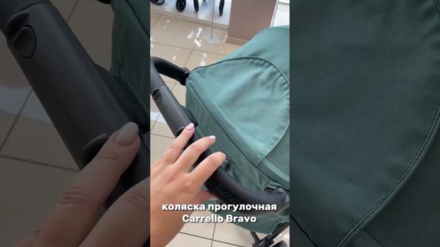 Прогулочная коляска Carrello Bravo #carrello