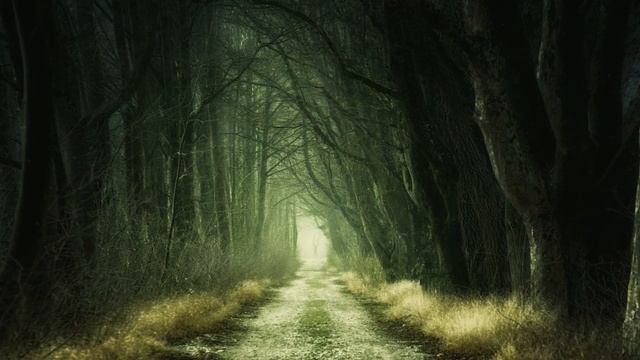 Музыка природы. Красивая расслабляющая мелодия. Ambient Music