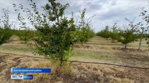 Сколько питьевой воды сейчас в водохранилищах Крыма
