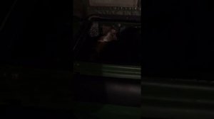 Болотоход тингер касяки двигателя чери.