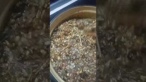 ?мешанка для кур-несушек??? как я её готовлю ??