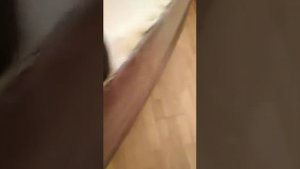 Очень просто избавиться от клопов