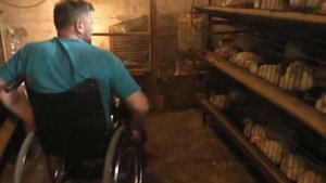 Плотность посадки бройлеров