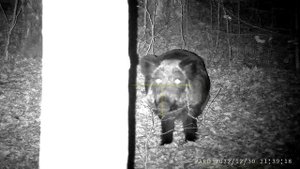 PARD NV-008S  LRF 850nm