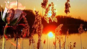 ПЛАКАЛ САКСОФОН. Стихи Наталии Аникеевой.